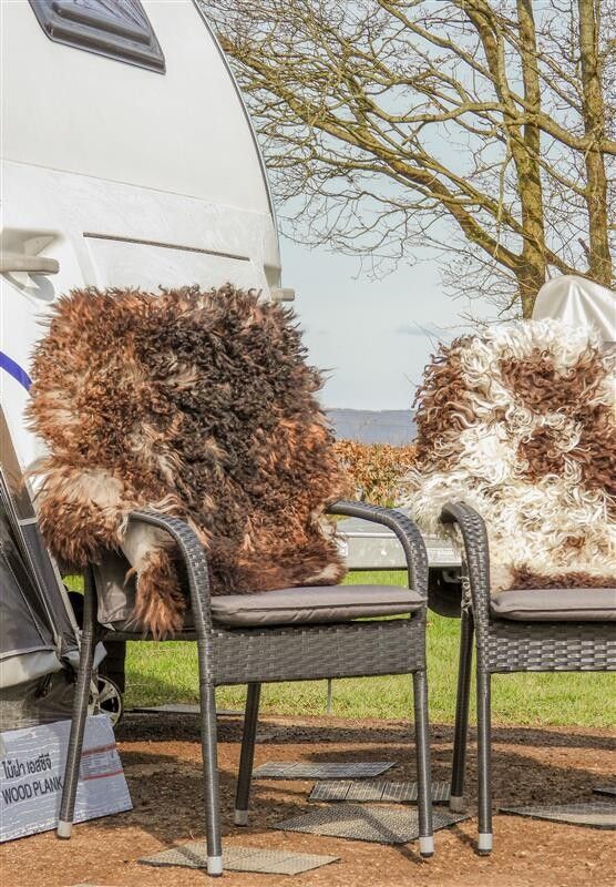 Oostenrijkse Schapenvacht | Curly | Natuurlijke kleuren | 90 cm Grijs Beige