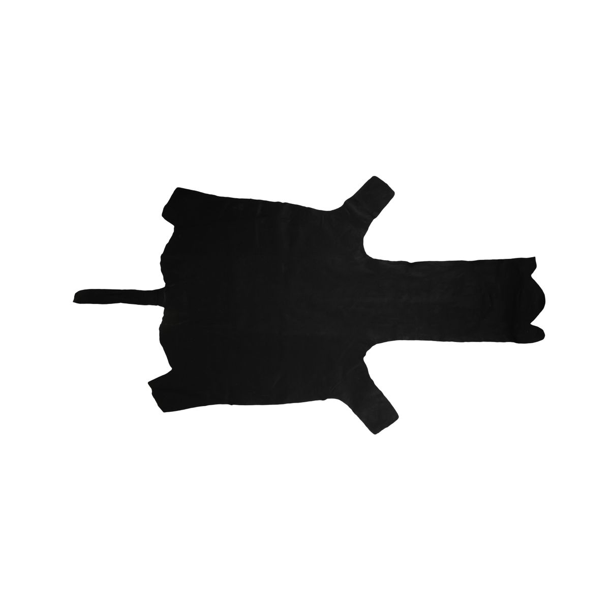 Zebrahuid | Premium Kwaliteit | Zuid-Afrika