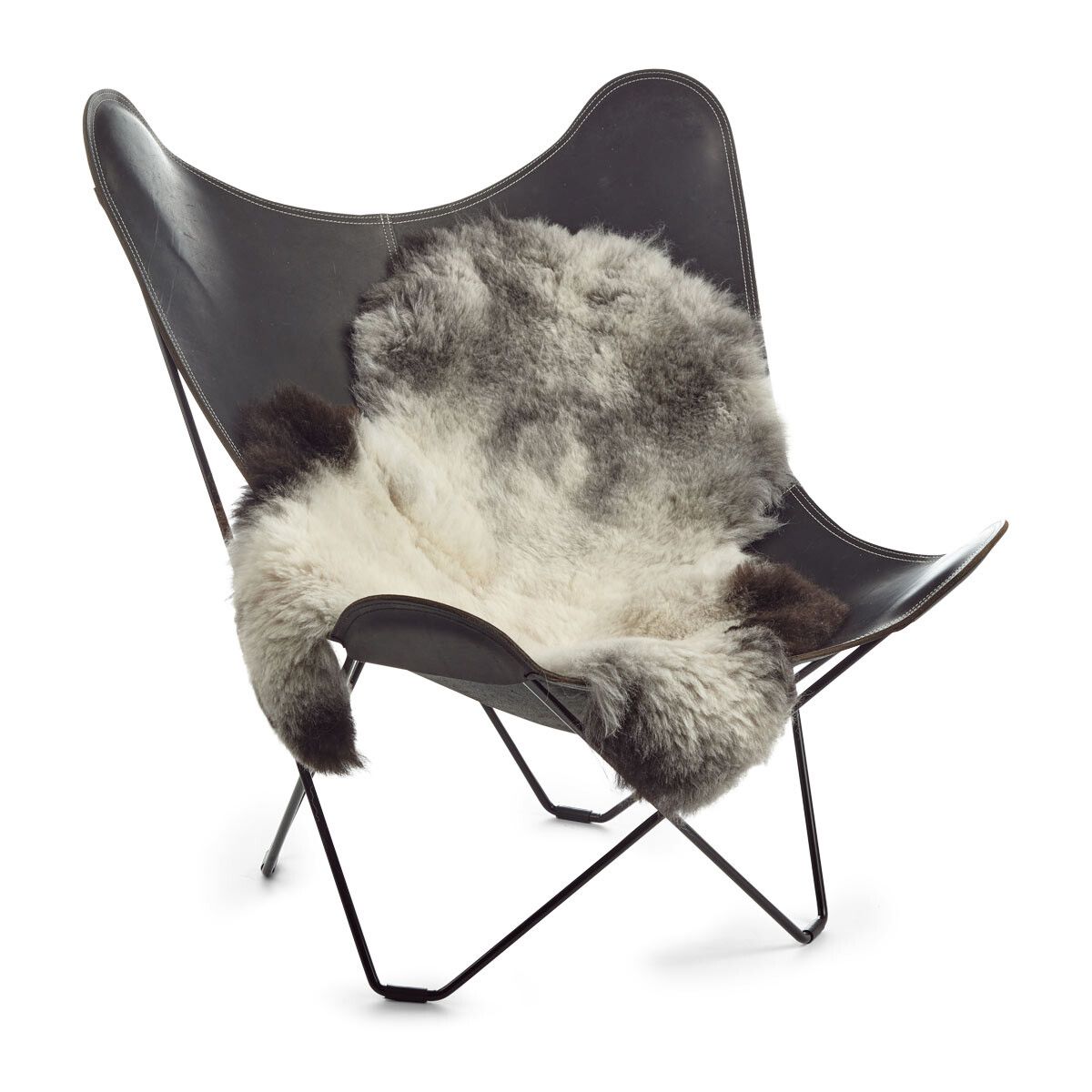 IJslandse Schapenvacht | Kortharig | 90-100 cm - Sheepskin House NL