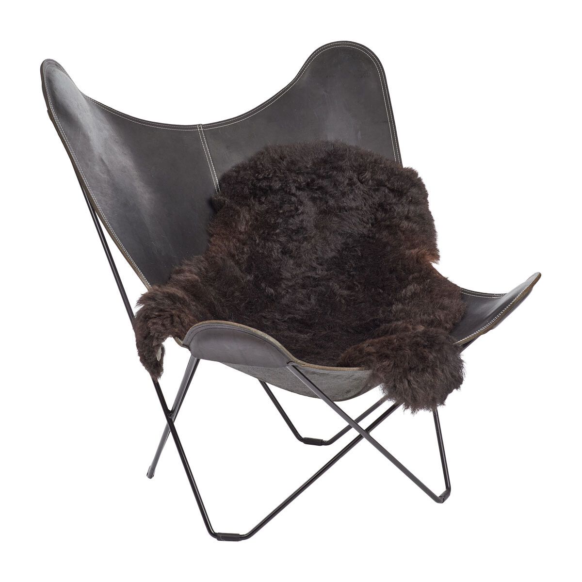 IJslandse Schapenvacht | Kortharig | 120+ cm Natuurlijk Zwart