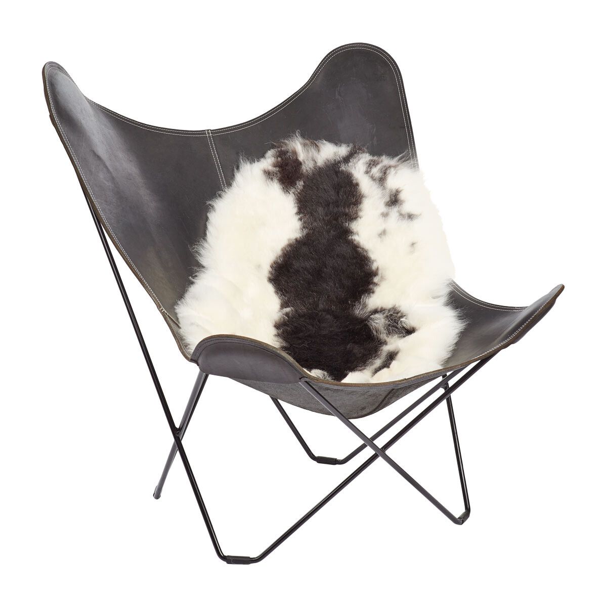 IJslandse Schapenvacht | Kortharig | 100-120 cm Gevlekt