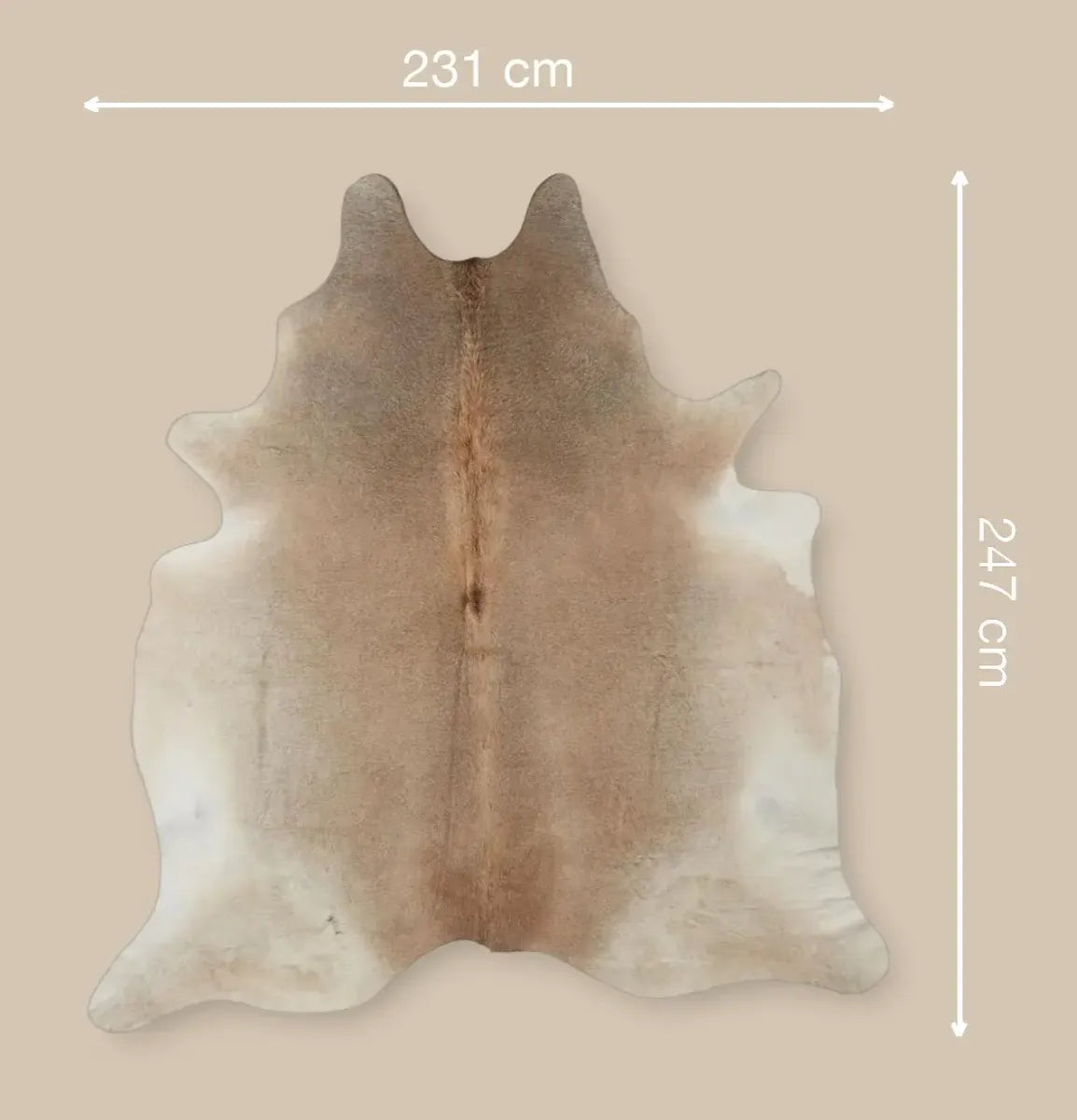 Koeienhuid Vloerkleed | Grijs Beige | 3,79 m² Grijs Beige