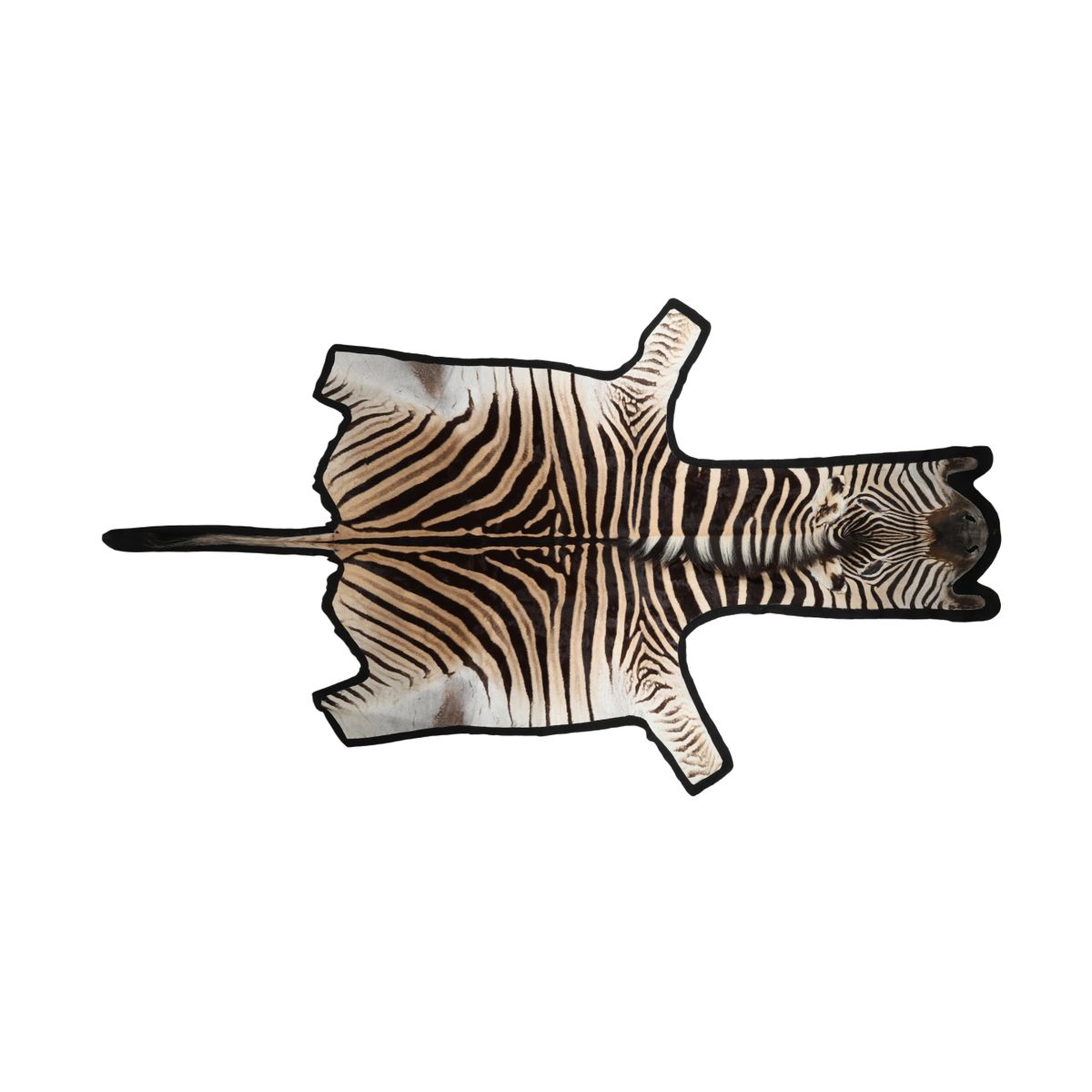 Zebrahuid | Premium Kwaliteit | Zuid-Afrika
