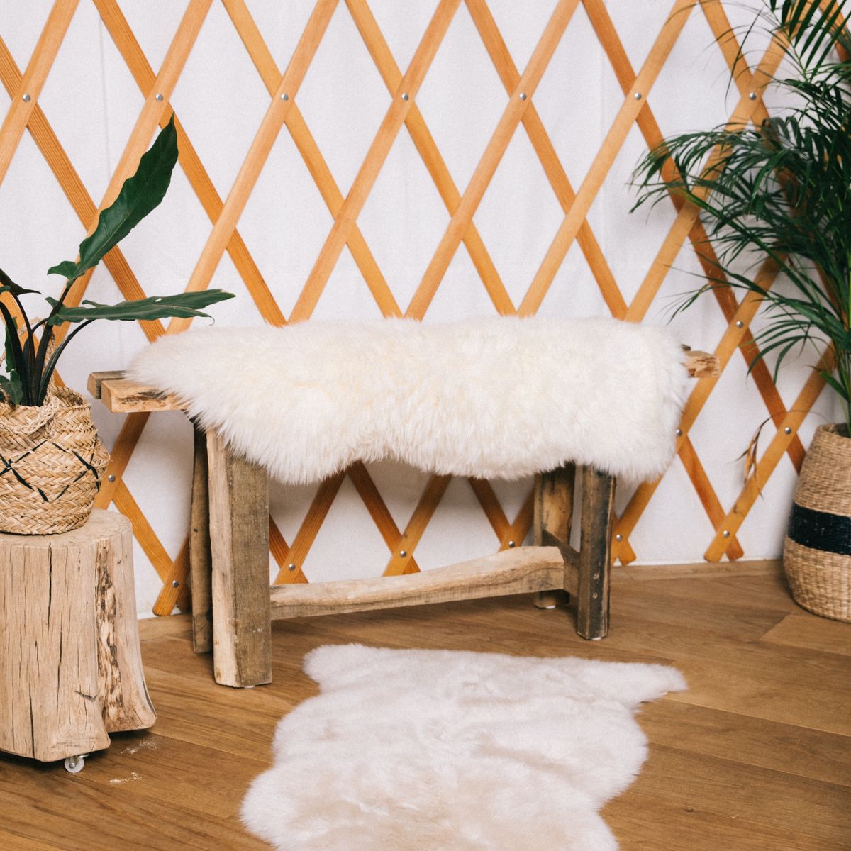 Merino Schapenvacht | Nieuw- Zeeland | Langharig | 100 cm Ivoor