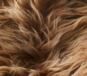 Bank met IJslandse schapenvacht | Eiken poten | 140x35x45 cm Roestbruin