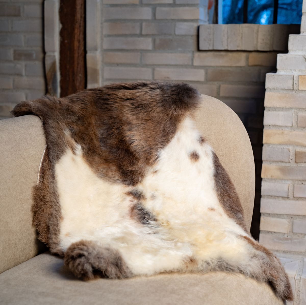 Himalaya Schapenvacht | Kortharig | Natuurlijke kleuren | 95 cm Donker Gevlekt