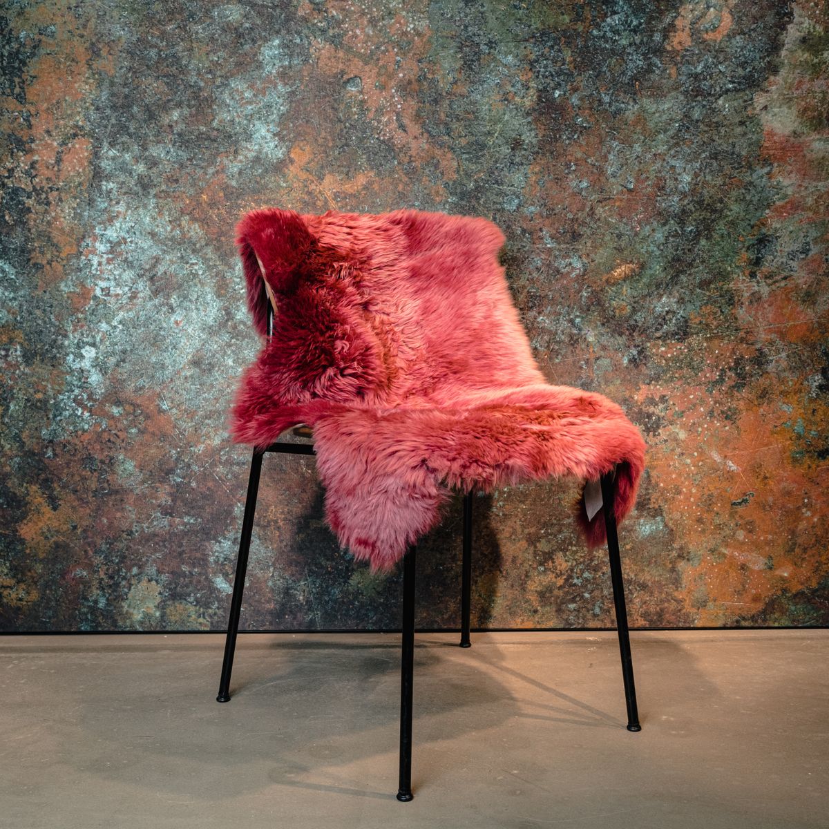 Merino Schapenvacht | Nieuw-Zeeland | Gekleurd | Langharig | 90 cm Vanilla