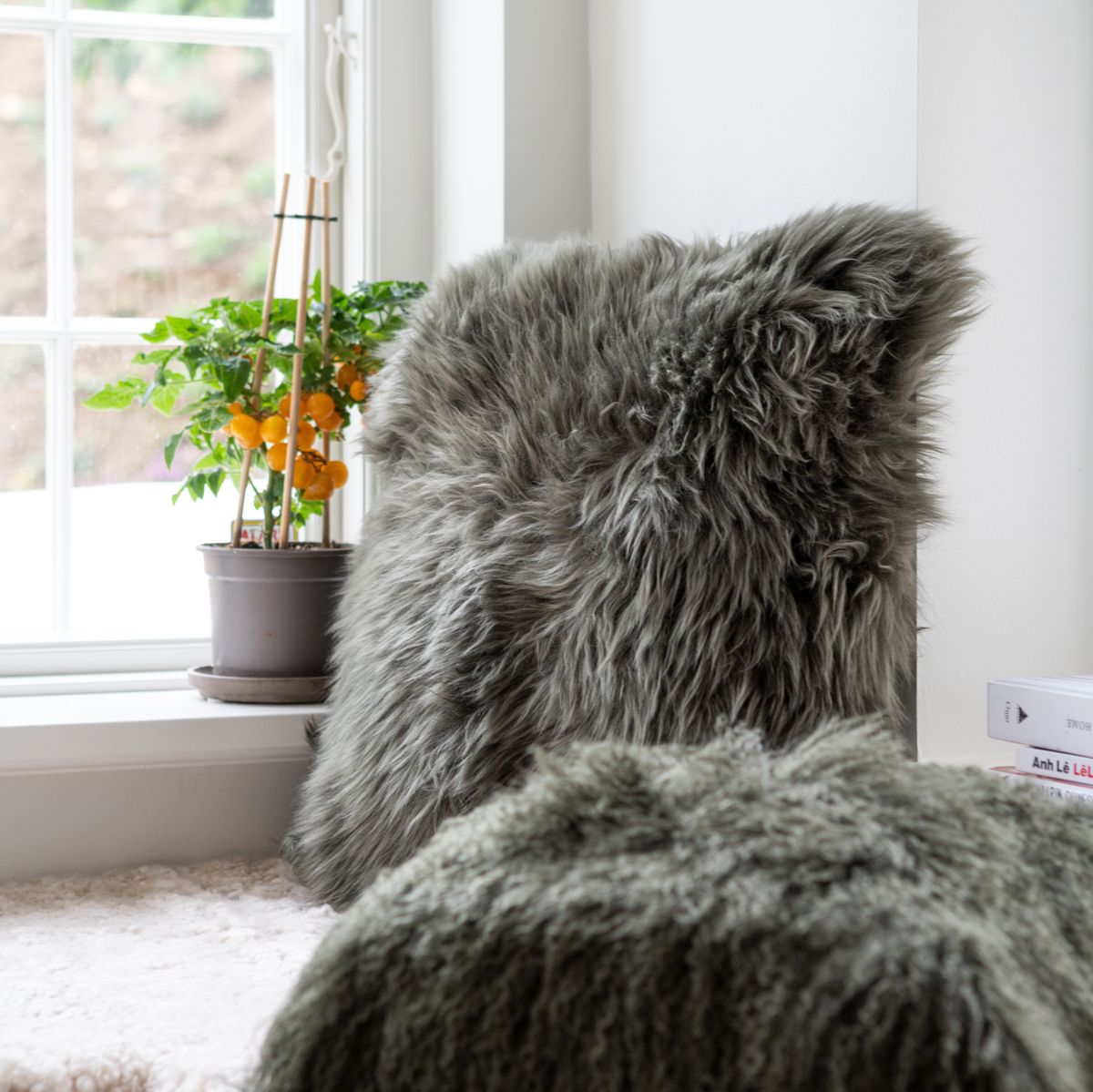 Langharig Schapenvacht Kussen | 50x50 cm Aubergine