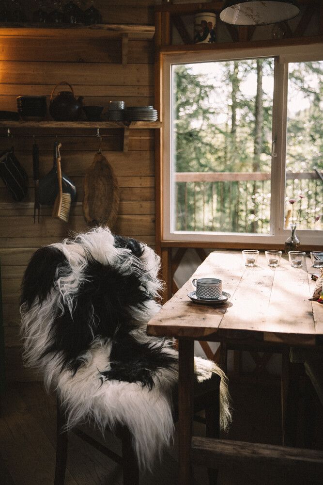 IJslandse Schapenvacht | Langharig | 90 cm Natuurlijk Brisa