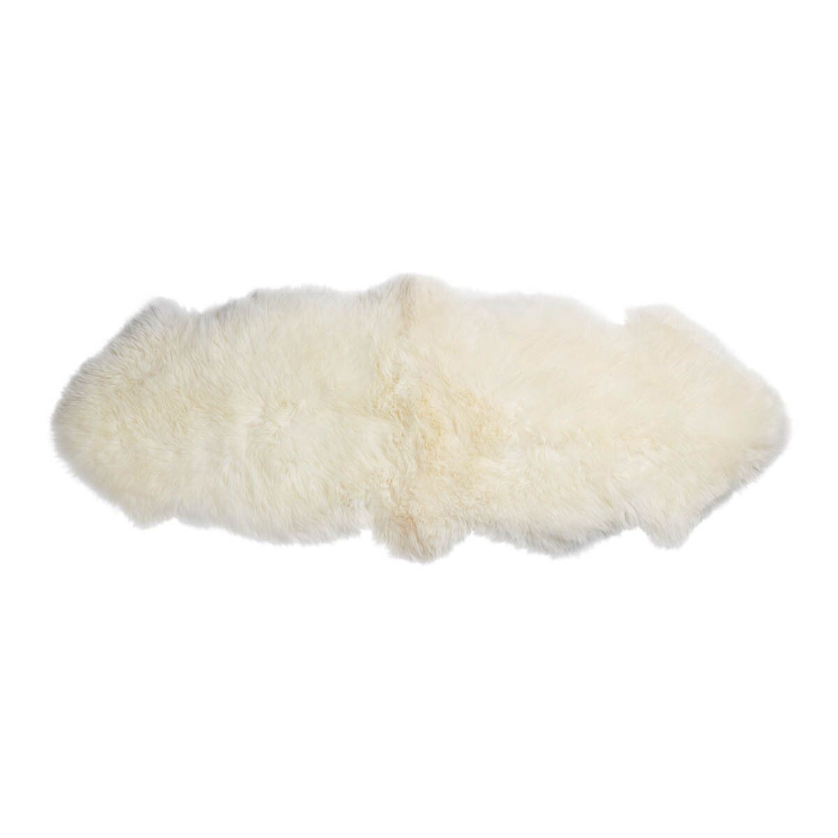 Ivoor