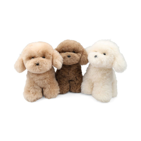 Knuffel Puppy | IJslandse Shapenvacht