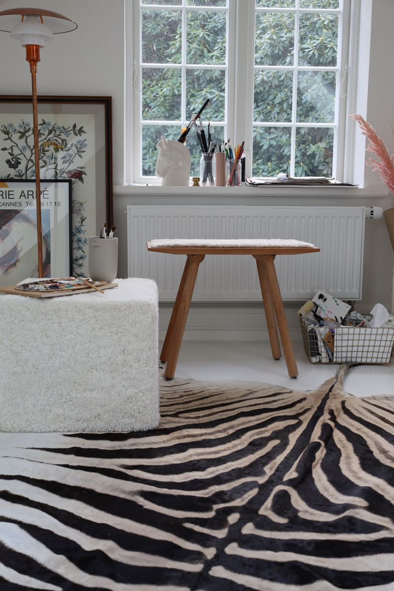 Zebra Huid Zebra
