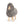 Signature Staand Schaap | Small Gotland Natuurlijk Grijs