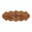  Toffee Bruin