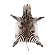 Zebra Huid