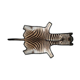 Zebrahuid | Premium Kwaliteit | Zuid-Afrika