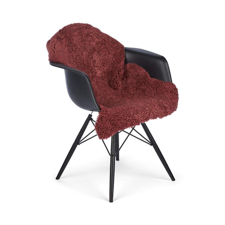 Nieuw-Zeelandse schapenvacht | Curly Kortharig | 100 cm Spiced Apple