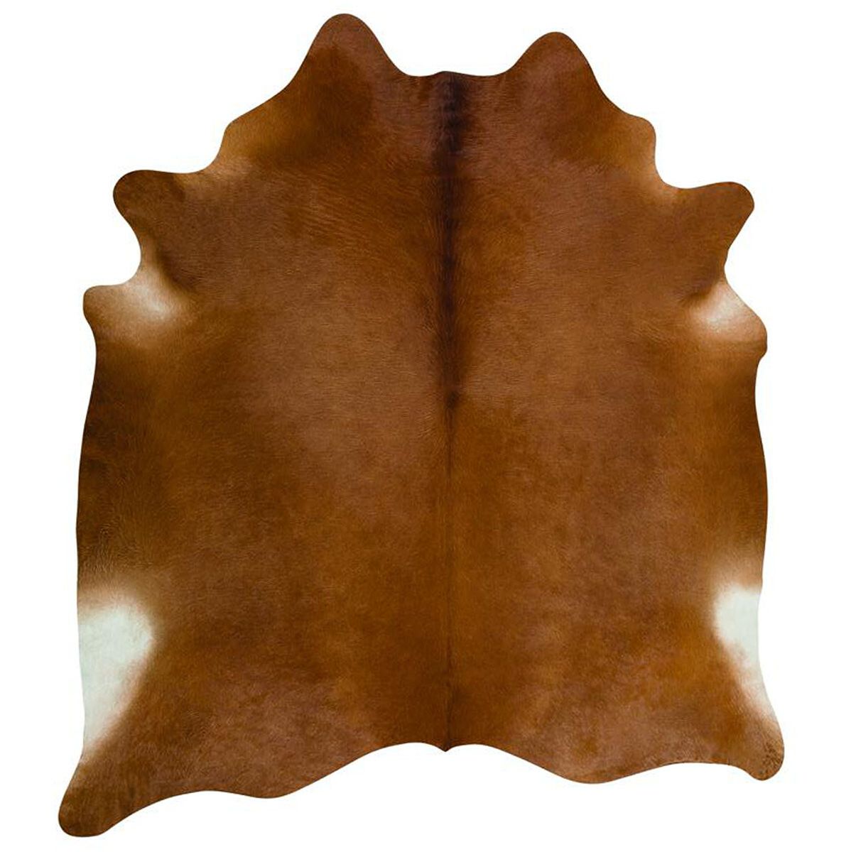 Natuurlijke premium koeienhuiden | XXL-maat | Brazilië Bruin