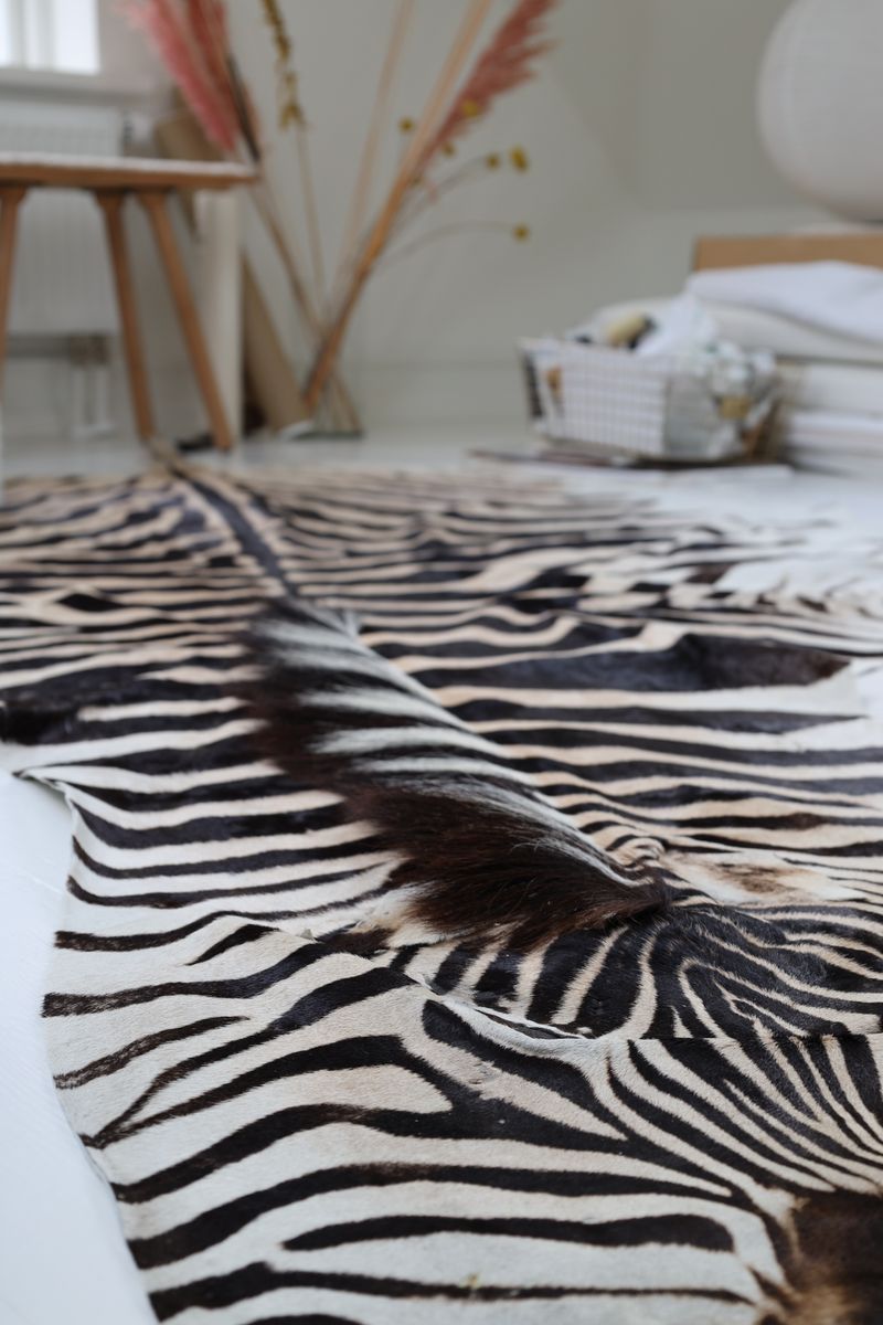 Zebra Huid Zebra