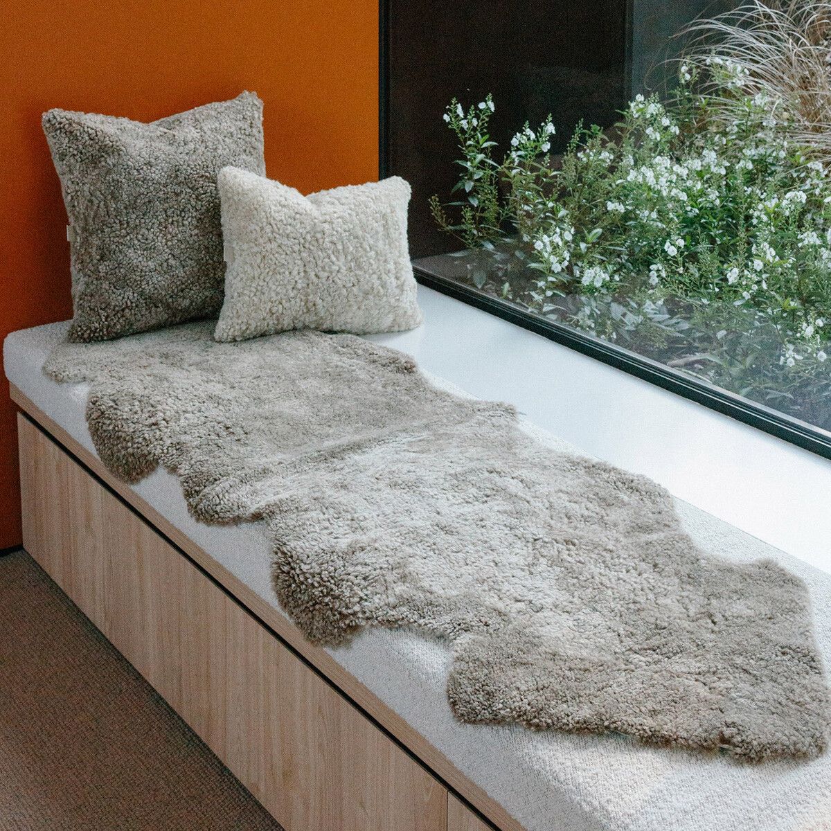 Dubbele Merino Schapenvacht | Kortharig | Nieuw- Zeeland | 180x60cm Licht Grijs
