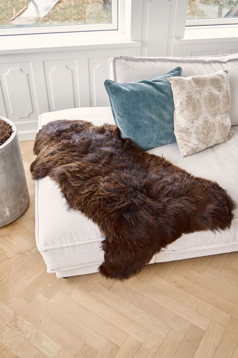 Engelse Schapenvacht | Kortharig | 120+ cm Natuurlijk donkerbruin