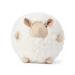 Schattig Schapen Kussen | Ø28 cm Beige/Wit