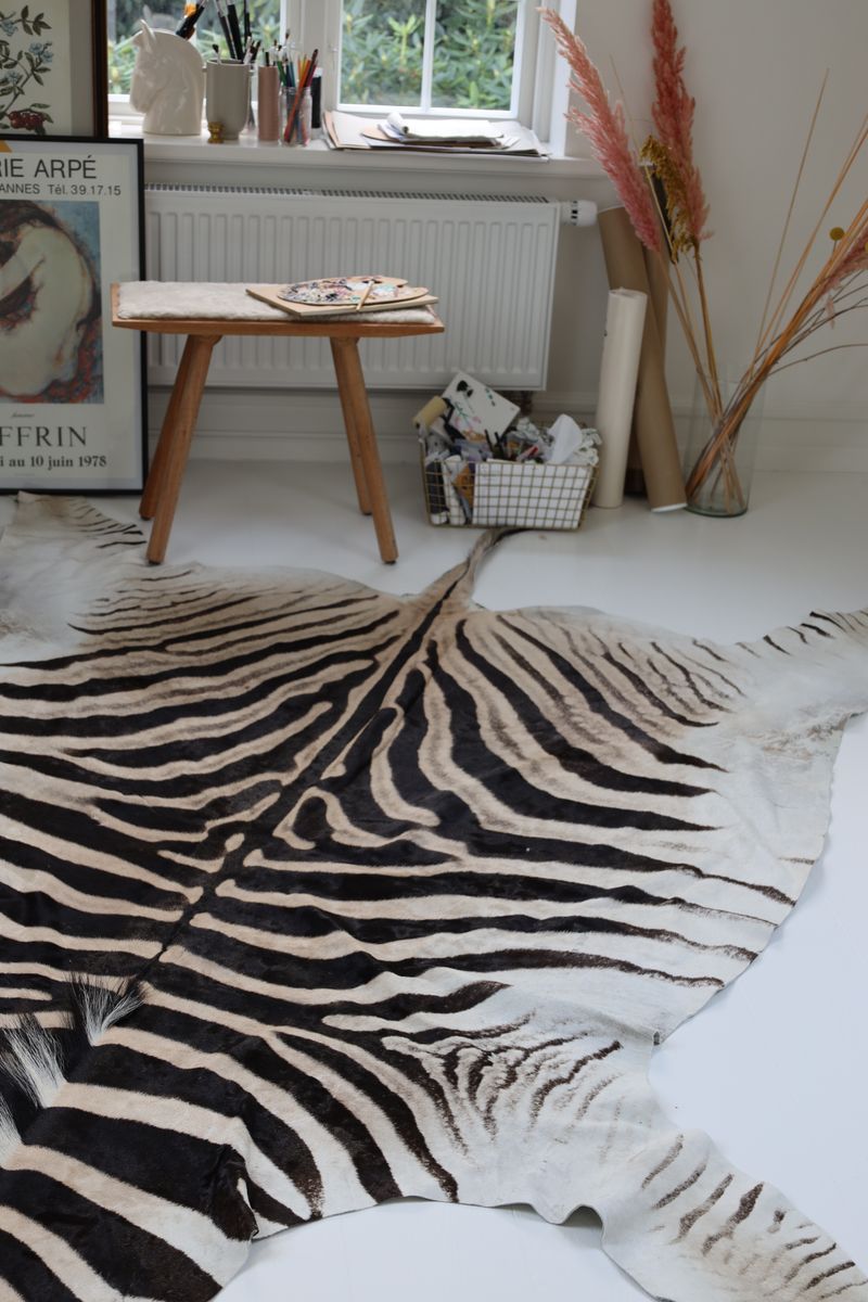 Zebra Huid Zebra