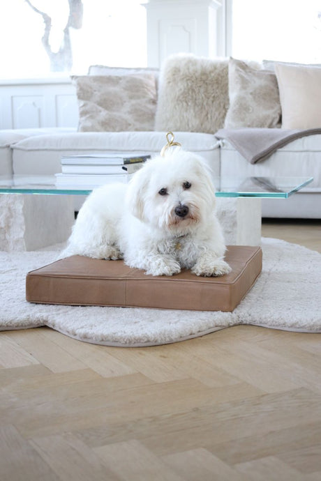 Kalfslederen Kussen | 50x50 cm Goud Bruin