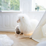 Schommelschaap | Kortharig | L85xW25xH60 cm Ivoor